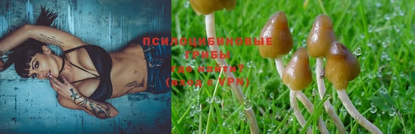 крисы Абдулино