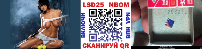 закладка  Новопавловск  Наркотические марки 1,5мг 