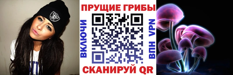 ОМГ ОМГ как зайти Новопавловск Псилоцибиновые грибы Cubensis где купить наркоту